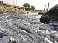 Polluted rivers cause havoc in western U.P. villages