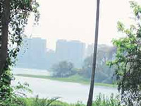 IIT-Bombay team ready with a natural system to treat Powai lake water