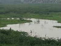 Encroachments, apathy choke this century-old lake