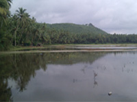 Study finds contaminants pushing Subramanyapura lake to extinction