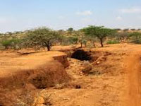 Over 29 per cent of India's land degrading