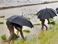 Monsoon expectation robust in India, farm-related stocks shine
