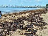 Oil's not well with iconic chowpatty