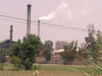 Muktsar villages unite against ‘polluting’ mill