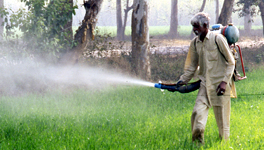 State of pesticide regulations in India