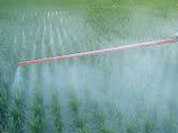 Pesticide Management Bill fails to address active regulation: PAN
