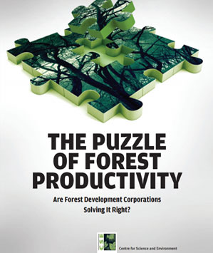 The Puzzle of Forest Productivity: Are Forest Development Corporations Solving It Right?