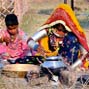 Rajasthans 22 districts most food insecure: IHD, WFP Report