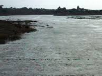 Foam in Musi river raises severe pollution spectre