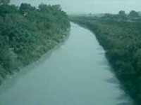 Kanpur development authority to take steps to save Pandu river from pollution