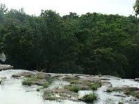 MPCB refutes NMMC’s Vashi creek water study