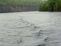 Centre forms task force on interlinking of rivers