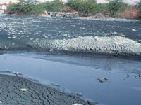 Yamuna, Hindon most polluted rivers: Study
