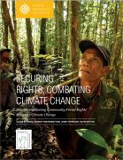 Securing rights, combating climate change: how strengthening community forest rights mitigates climate change