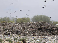 NGT seeks report on 'mountain' dumps at landfill sites