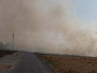 Gurgaon farmers to pay Rs 15,000 for stubble burning  