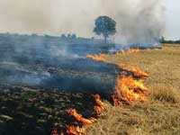 Stubble burning: Punjab to study Nagpur’s initiative of using agri-waste briquettes for cremations