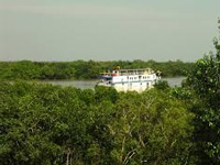 NGT orders ban on all construction in the Sundarbans