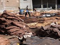 Tannery owners blame officials for pollution