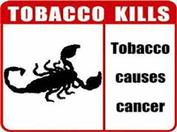 Tobacco panel is reconstituted