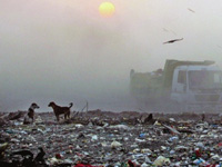Garbage politics: Support against waste management plant swells