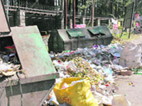 Garbage gobbles city backyard