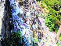 Waste disposal: NGT prods SMC, govt