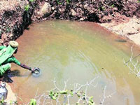 Near Imphal, hope floats for polluted Northeast lakes