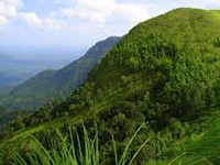 Wider consultations to preserve the Western Ghats: Centre