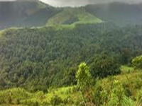 Conserve forests in Western Ghats