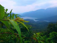 New policy to conserve Western Ghats: Centre